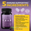 Sambucus Worderberry Immune Support Winderberry 120 капсулы